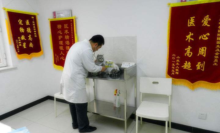 杭州专业动物医院装修-杭州专业动物医院怎么装修？