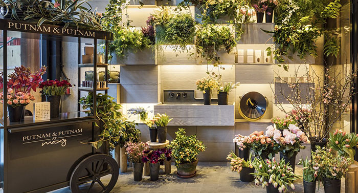 杭州花店装修设,杭州鲜花店装修,杭州鲜花店面装修,杭州装修公司 杭州花店装修设,杭州鲜花店装修,杭州鲜花店面装修,杭州装修公司