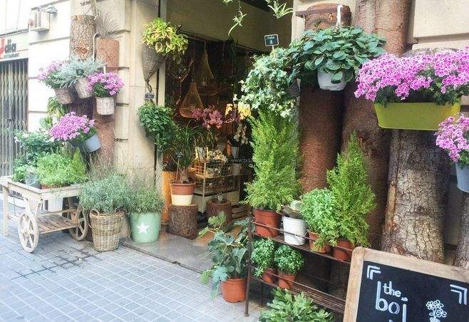 杭州鲜花店装修,花店装修要注意哪些问题,杭州花店装修 杭州鲜花店装修,花店装修要注意哪些问题,杭州花店装修