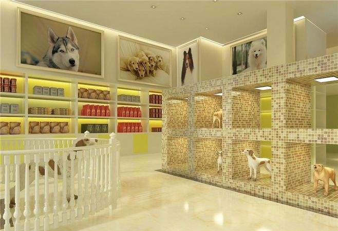 杭州宠物店装修-宠物们都喜欢的宠物店装修图